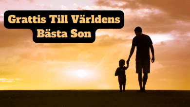 Grattis Till Världens Bästa Son...bloggink.se