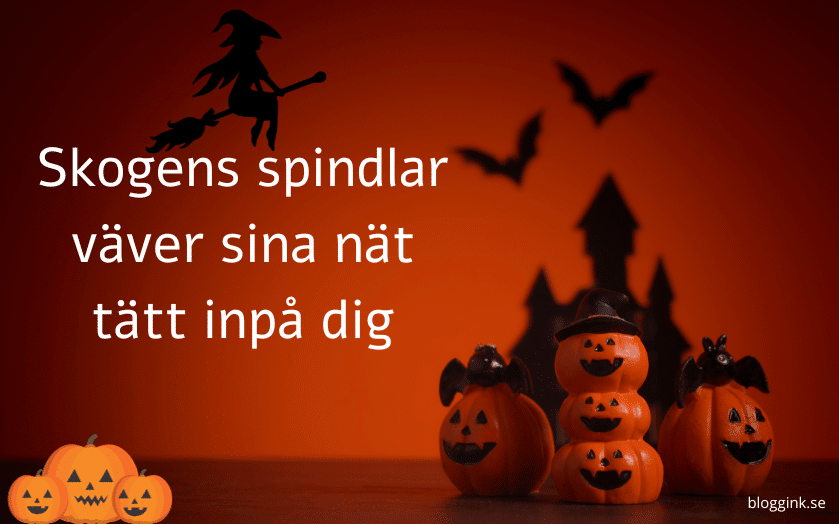 Halloween:Skogens spindlar väver sina nät tätt...bloggink.se