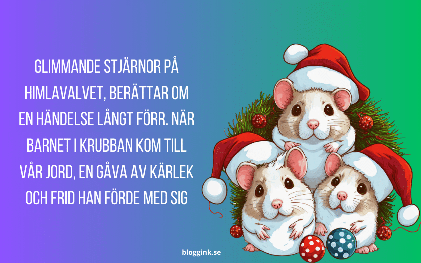 Jul dagen:Glimmande stjärnor på himlavalvet...bloggink.se