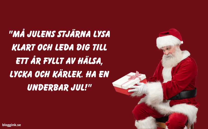 Må julens stjärna lysa klart och leda dig till ett år...bloggink.se