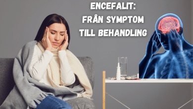 Encefalit Från symptom till behandling...bloggink.se