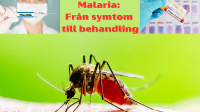 Malaria Från symtom till behandling...bloggink.se