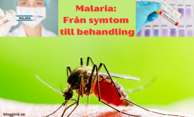 Malaria Från symtom till behandling...bloggink.se