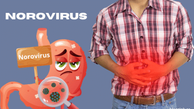 Norovirus...bloggink.se