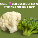 Broccoli- 6 vetenskapligt bevisade fördelar för...bloggink.se