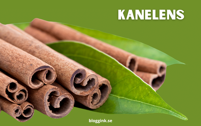 Kanelens...bloggink.se