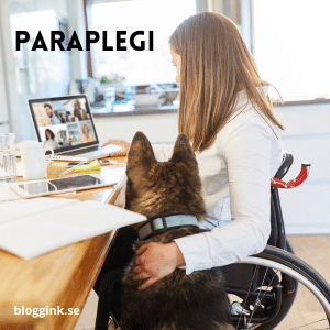 Paraplegi....bloggink.se