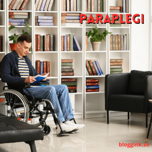 Paraplegi....bloggink.se