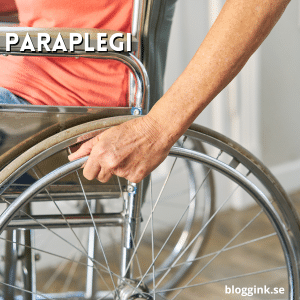 Paraplegi....bloggink.se