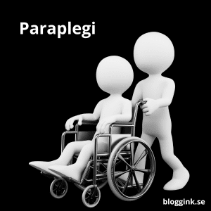 Paraplegi....bloggink.se