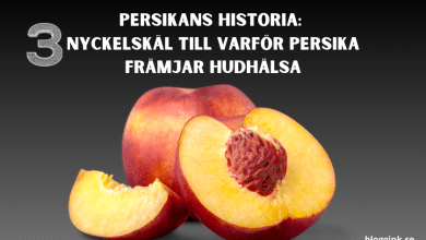 Persikans Historia 3 Nyckelskäl Till Varför...bloggink.se