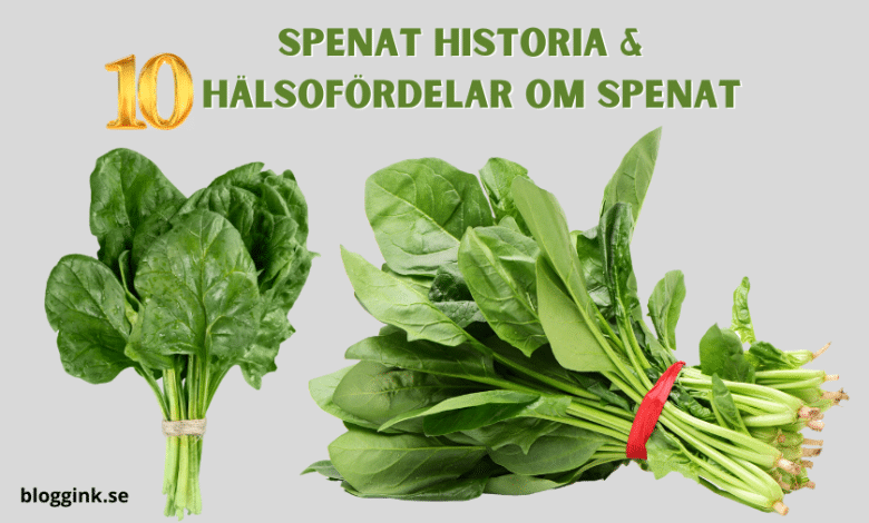 Spenat Historia & 10 Hälsofördelar om Spenat...bloggink.se