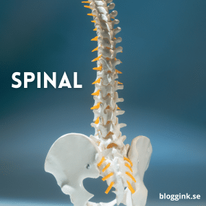 Spinal...bloggink.se