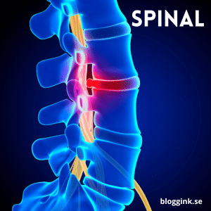 Spinal...bloggink.se