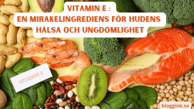 Vitamin E En mirakelingrediens för hudens...bloggink.se