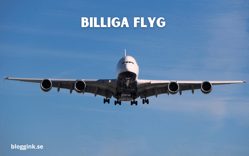 billiga flyg...bloggink.se