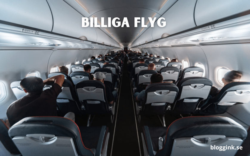 billiga flyg...bloggink.se