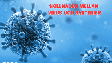 skillnaden mellan virus och bakterier...bloggink.se