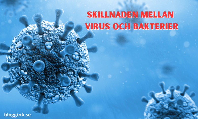 skillnaden mellan virus och bakterier...bloggink.se