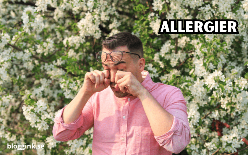 Allergier...bloggink.se