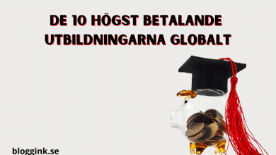 De 10 högst betalande utbildningarna globalt...bloggink.se