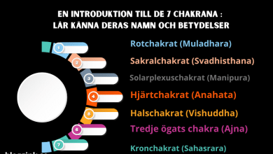 En introduktion till de 7 chakrana...bloggink.se