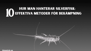 Hur man hanterar silverfisk 10 Effektiva...bloggink.se