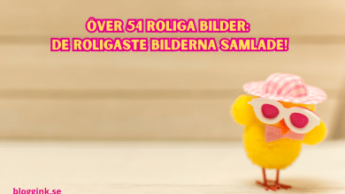 över 54 roliga bilder De roligaste bilderna...bloggink.se