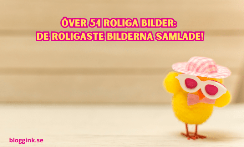 över 54 roliga bilder De roligaste bilderna...bloggink.se