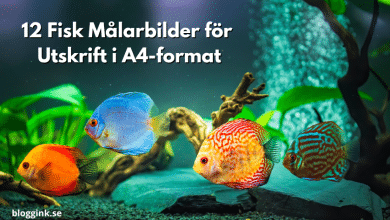 12 Fisk Målarbilder för Utskrift i A4-format...bloggink.se